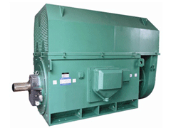 Y7108-4Y系列6KV高压电机